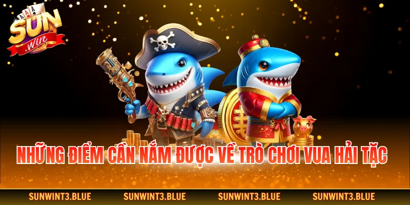 Những điểm cần nắm được về trò chơi vua hải tặc